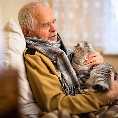 themenwelt bubblenavi katzenernaehrung mit diesen tipps versorgst du deinen katzen senior 412x412